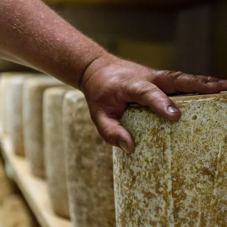 The Originals Access Aéroport, Hotel